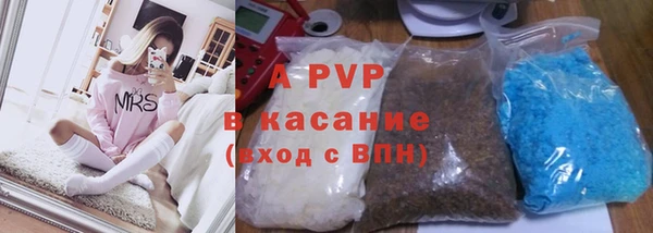 хмурый Аркадак