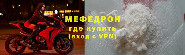хмурый Аркадак