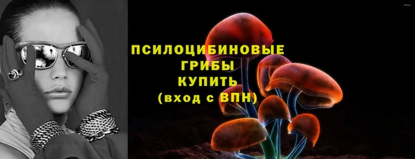 хмурый Аркадак