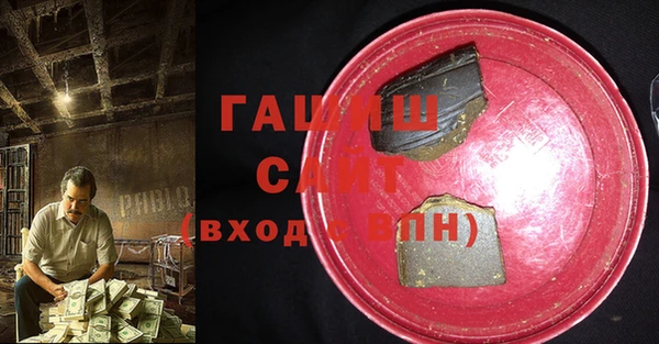 хмурый Аркадак