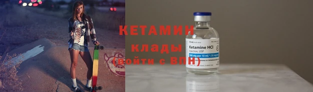 хмурый Аркадак