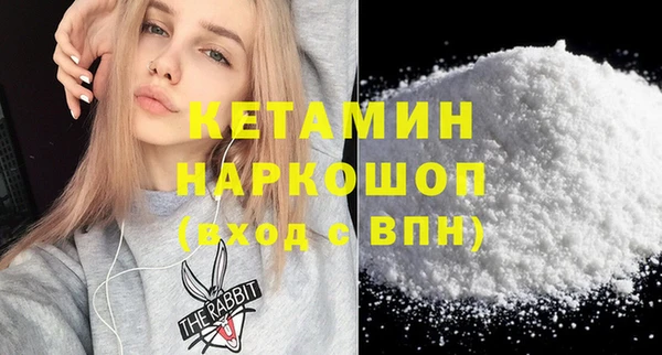 хмурый Аркадак