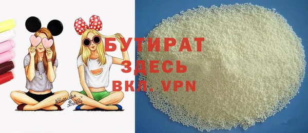 хмурый Аркадак
