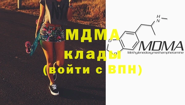хмурый Аркадак