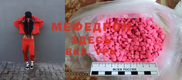 хмурый Аркадак