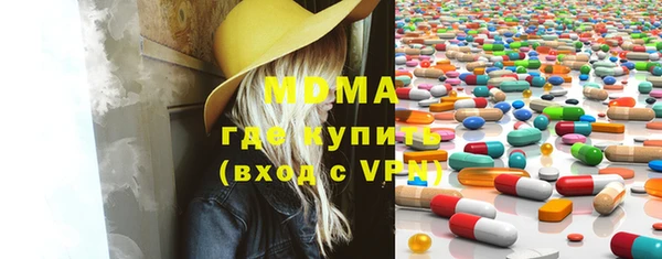 хмурый Аркадак