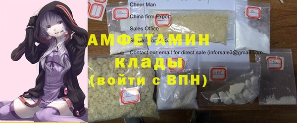 хмурый Аркадак