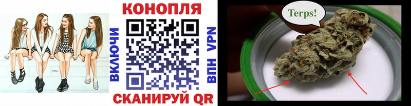 Канабис конопля Белозерск
